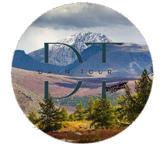 DAYAN_TOURIST_CAMP_LOGO